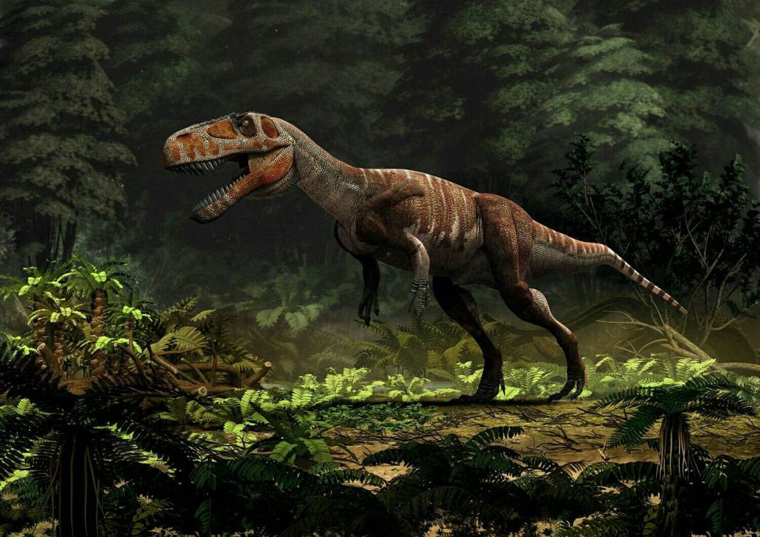 Dinozorlar geri mi dönüyor? Jurassic Park filmi gerçek mi oluyor - Resim: 15